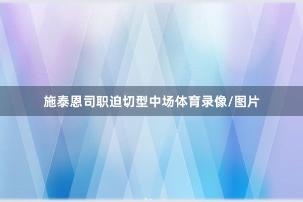 施泰恩司职迫切型中场体育录像/图片