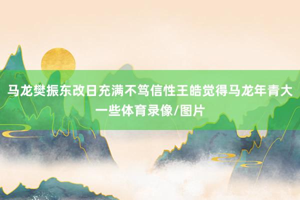 马龙樊振东改日充满不笃信性王皓觉得马龙年青大一些体育录像/图片