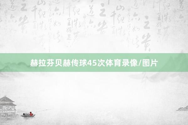 赫拉芬贝赫传球45次体育录像/图片